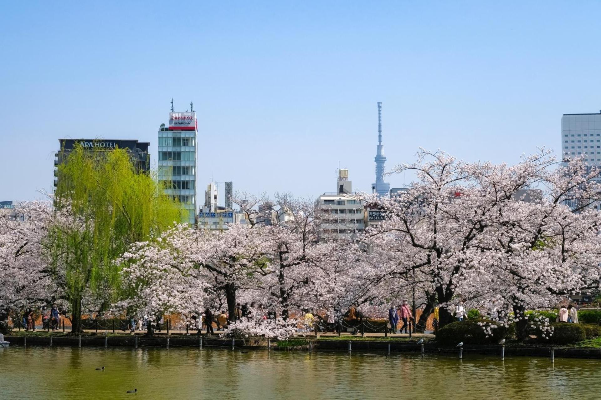 Apartahotel Stayme The Ueno 2*